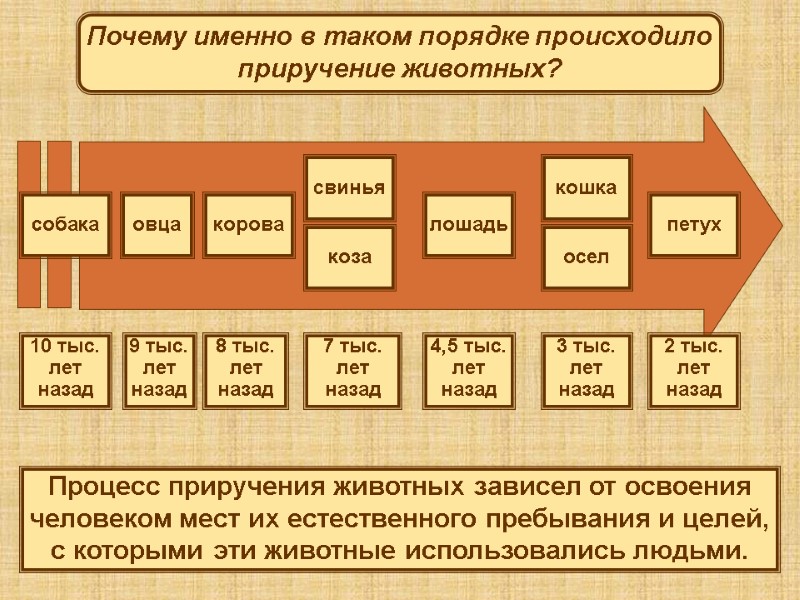9 тыс. лет назад   8 тыс. лет назад 7 тыс. лет назад